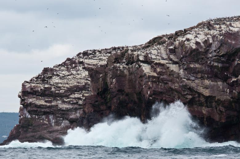 Free stock image of Island - Ocean Waves Crashing created by Geoffrey Whiteway