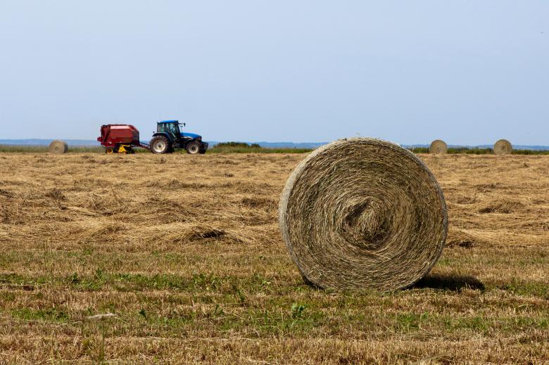 Free stock image of Farming created by Geoffrey Whiteway