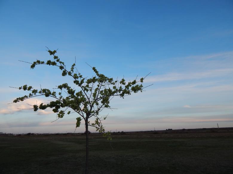 Free stock image of Horizon created by Silvana