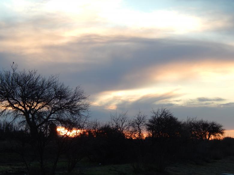 Free stock image of Sunset created by Silvana