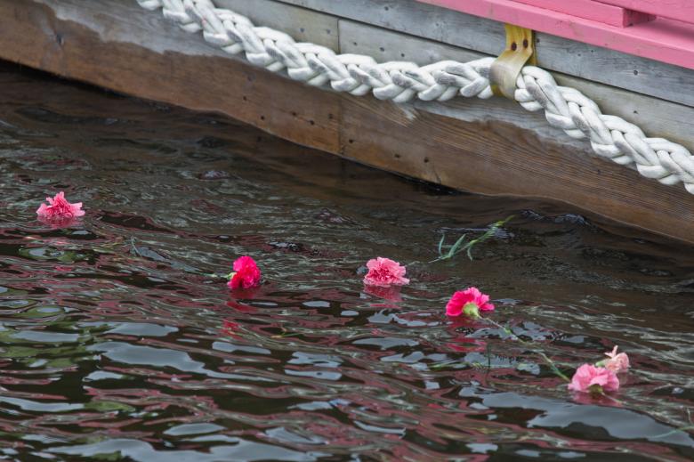 Free stock image of Pink Carnations created by Geoffrey Whiteway
