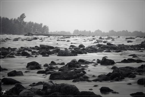 Free Stock Photo of The Waters of Danube River