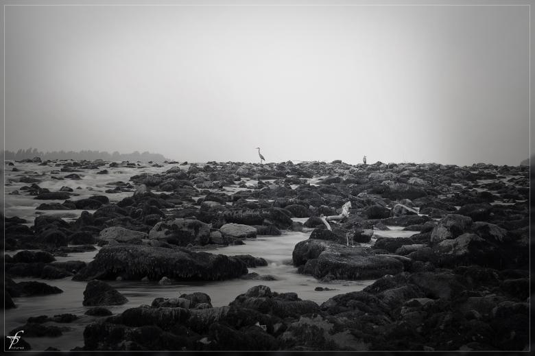 Free stock image of The Waters of Danube River created by Frantisek Pech