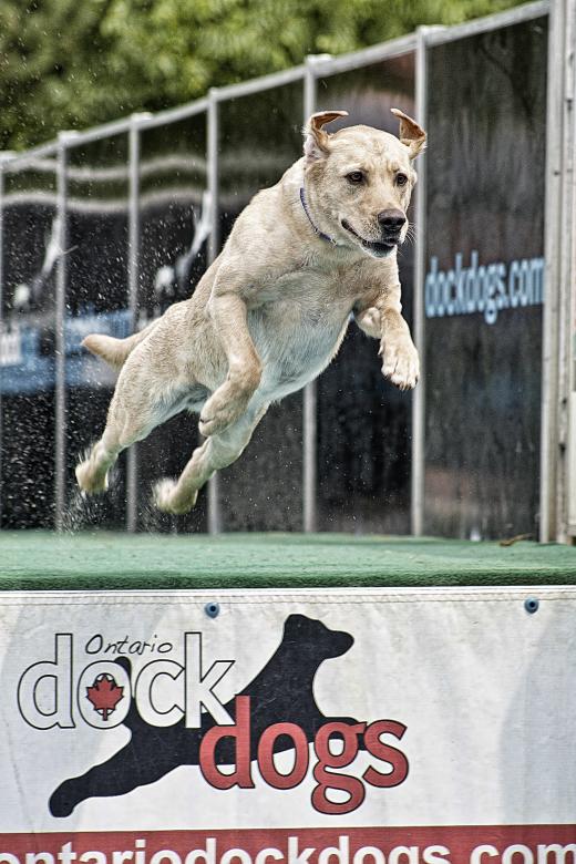 Free stock image of Determined look created by Tony Ryta