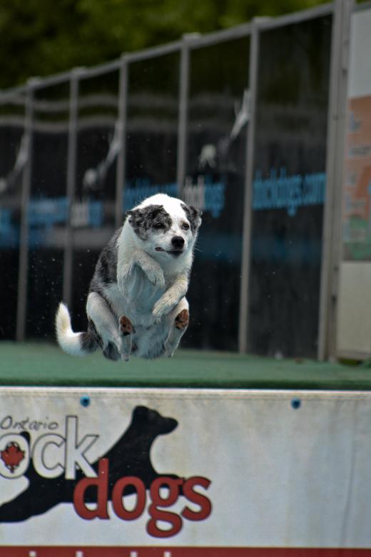 Free stock image of Cannonball! created by Tony Ryta