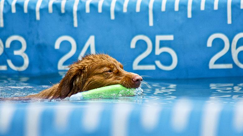 Free stock image of The Competiition created by Tony Ryta