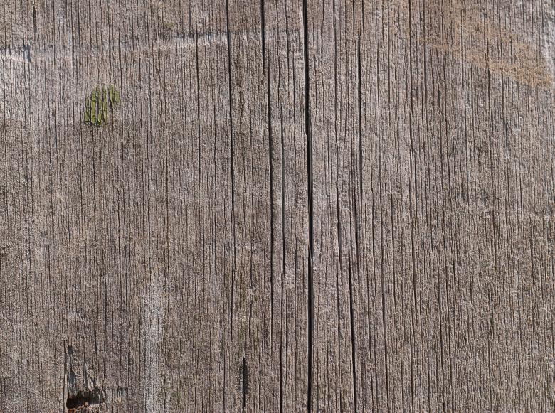 Free stock image of Old board created by Evgenij Kutyavin