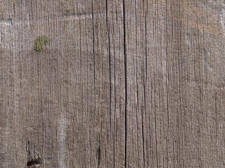 Old board - Free Stock Photo