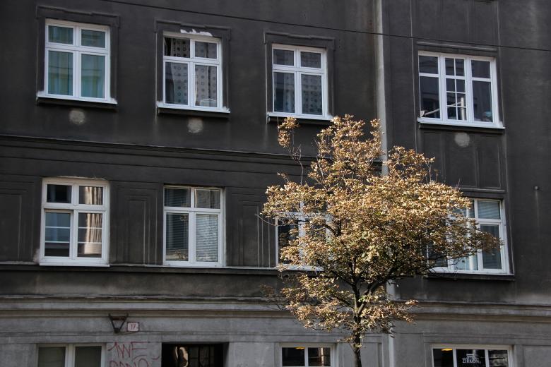 Free stock image of Windows created by 2happy