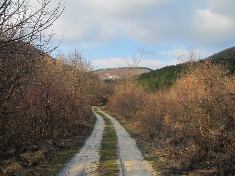 Free stock image of Mountain road created by Boris Kyurkchiev