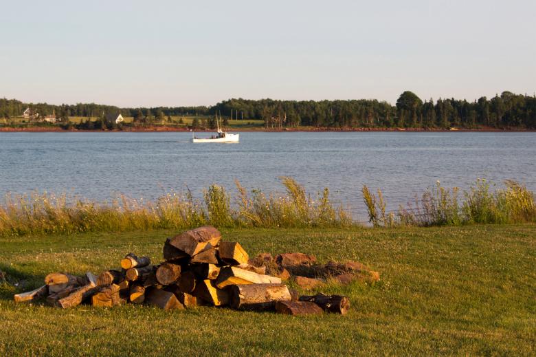 Free stock image of Wood created by Geoffrey Whiteway