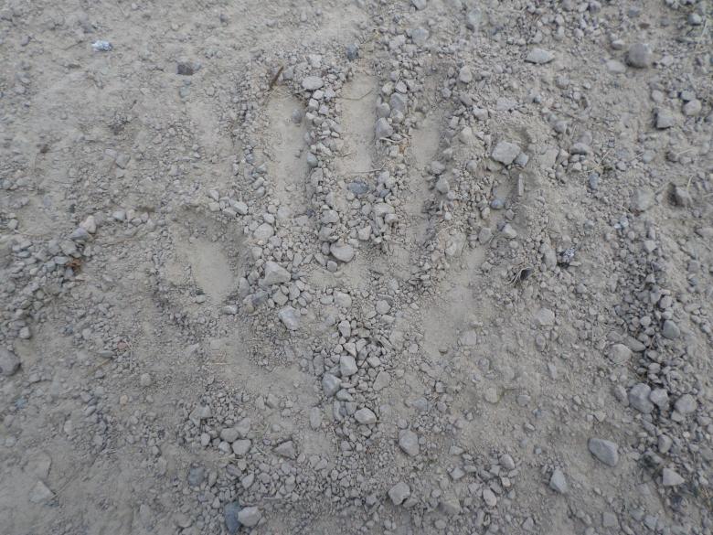 Free stock image of Hand print in gravel created by Mark Gleeson