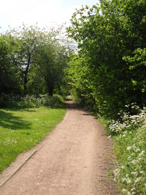 Free stock image of Park created by Mark Gleeson