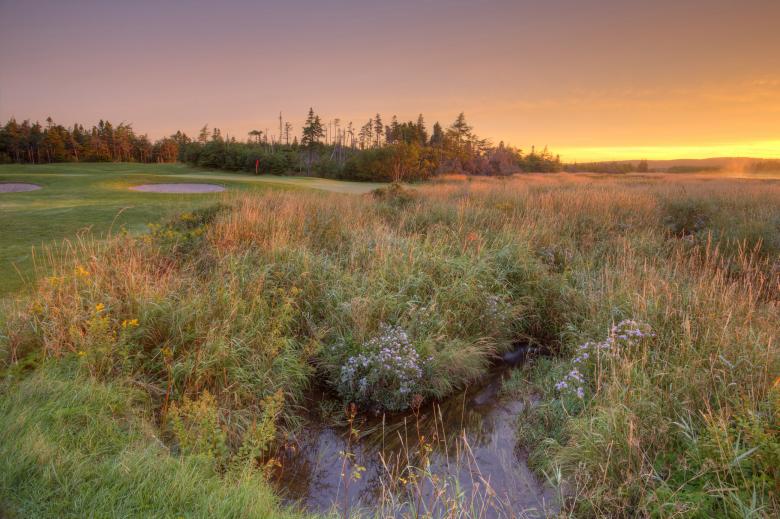 Free stock image of Golf Course created by Geoffrey Whiteway