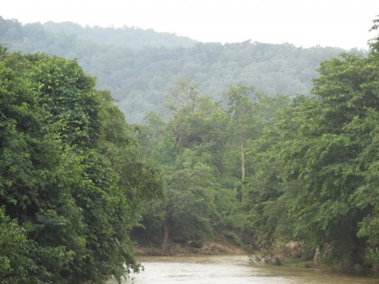 Free stock image of Green Hill Pic from Bastar created by shhekhar kumar