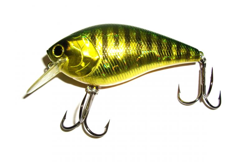 Free stock image of Fishing Bait created by homero chapa