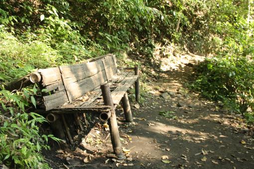 Abandoned bench in the forest - Free Stock Photo