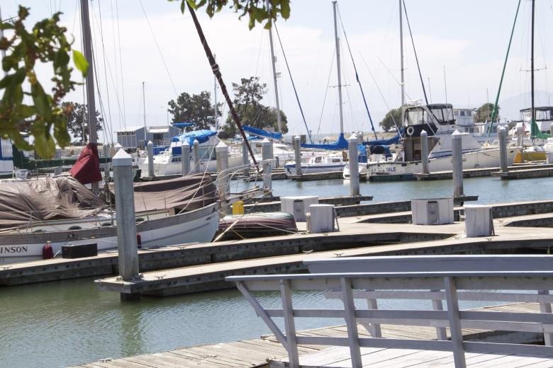 Free stock image of Harbor created by dana richardson