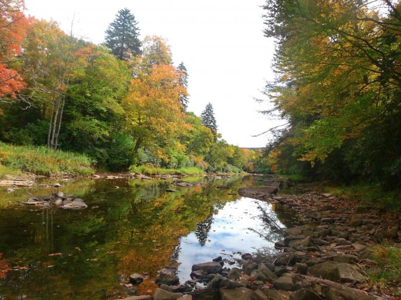 Free stock image of Cheat River created by Nature Girl