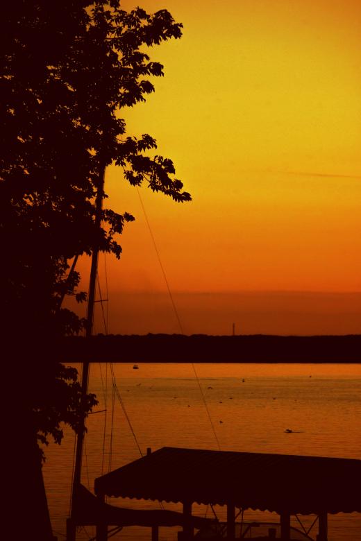 Free stock image of Yellow Daze created by renato valadez