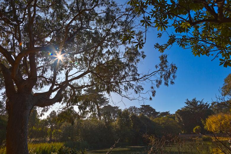 Free stock image of Zoo Foliage & Sunlight - HDR created by Nicolas Raymond