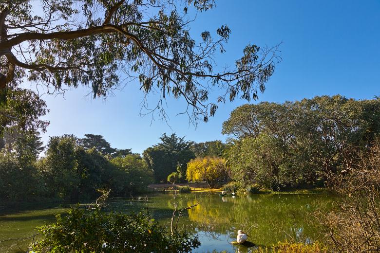 Free stock image of Zoo Zen - HDR created by Nicolas Raymond