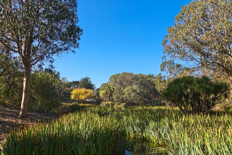 Free stock image of Zoo Marsh Scenery - HDR created by Nicolas Raymond