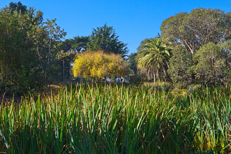 Free stock image of Zoo Marsh Scenery - HDR created by Nicolas Raymond
