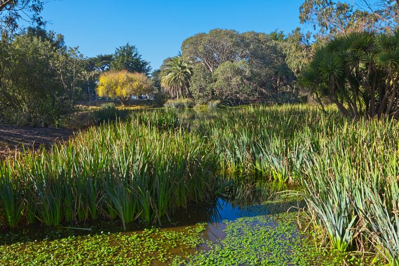 Free stock image of Zoo Marsh Scenery - HDR created by Nicolas Raymond