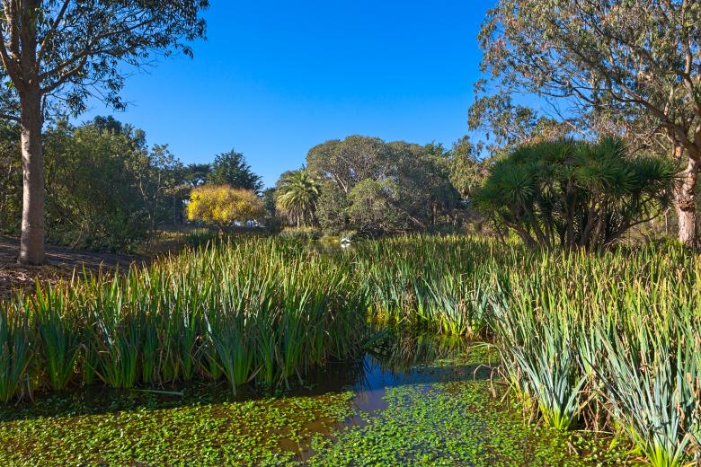 Free stock image of Zoo Marsh Scenery - HDR created by Nicolas Raymond