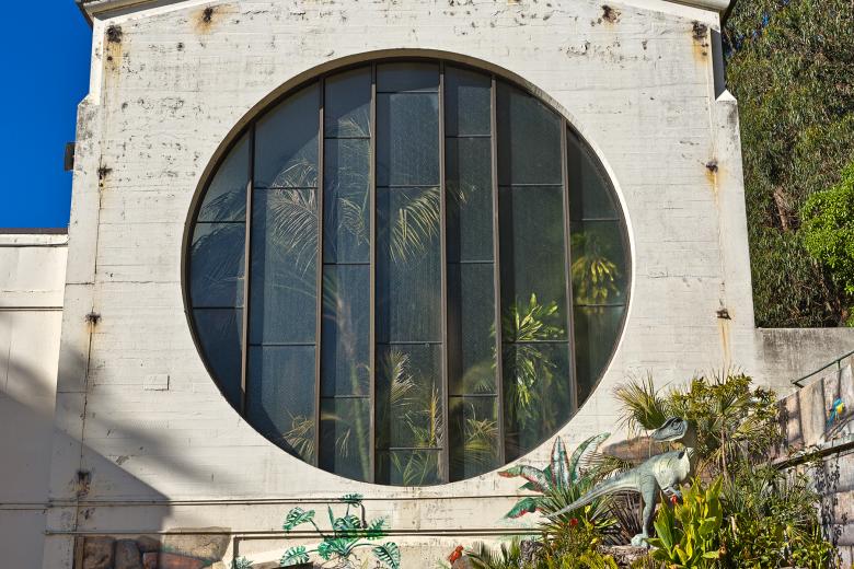Free stock image of Round Tropical Window - HDR created by Nicolas Raymond