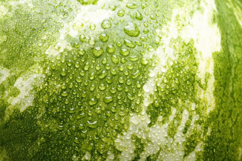 Free stock image of watermelon with water drops created by 2happy