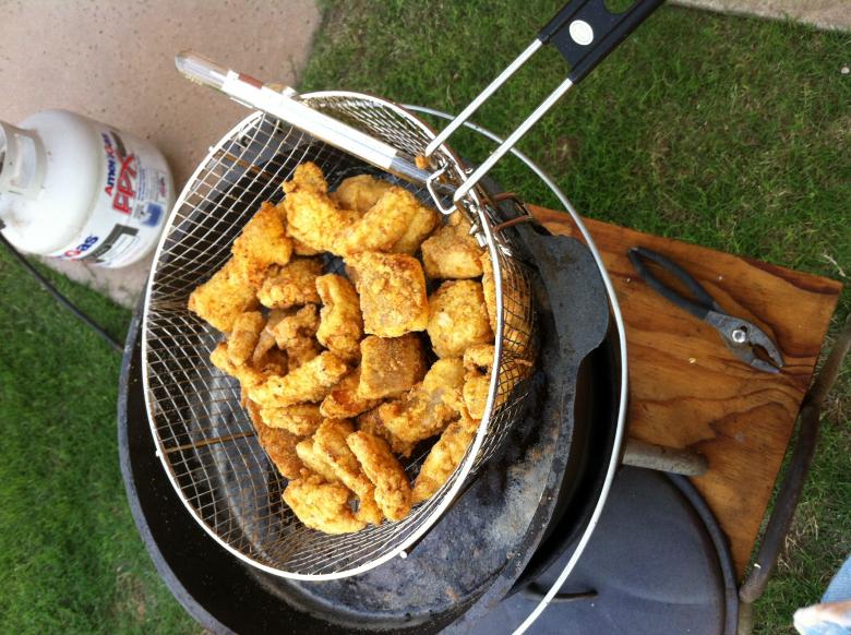 Free stock image of Fried Catfish created by delicopsch56