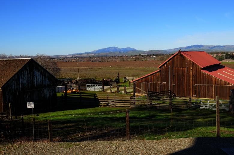 Free stock image of Winery created by dana richardson