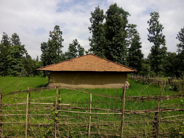 Free stock image of A Hut in Forest created by shhekhar kumar