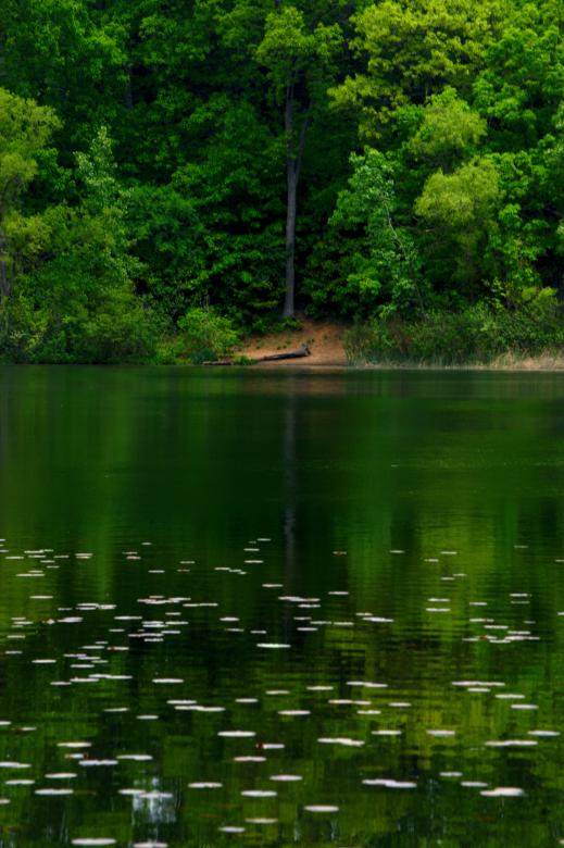 Free stock image of Lake Shore created by Heather Elaine Kitchen