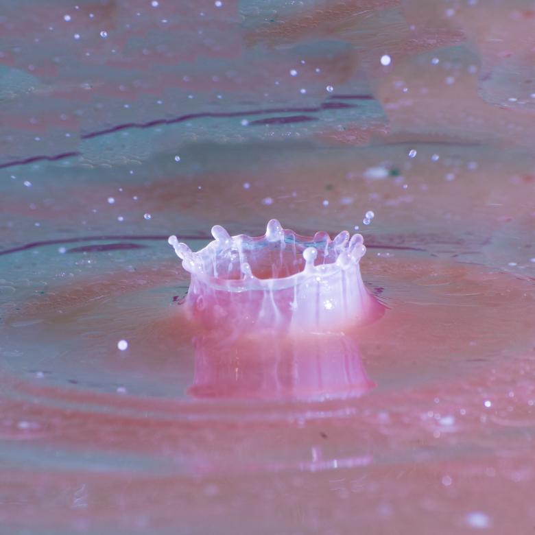 Free stock image of Pink Splash created by Heather Elaine Kitchen