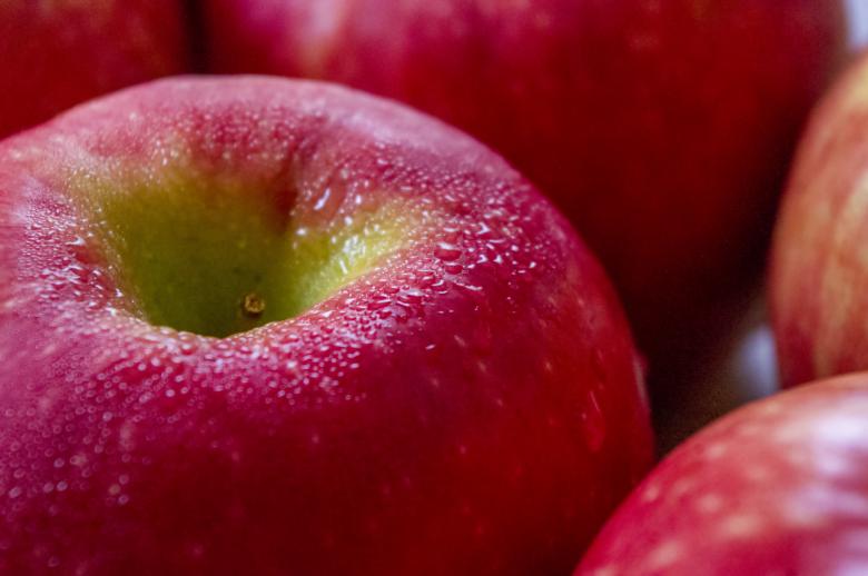 Free stock image of Apple created by Heather Elaine Kitchen