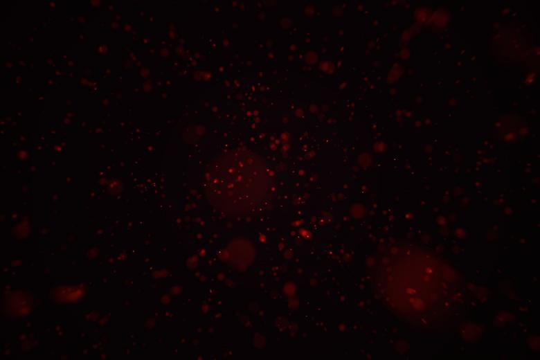 Free stock image of Particles created by Alen