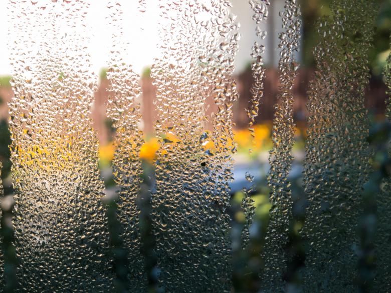 Free stock image of Misty Window created by Janis Urtans