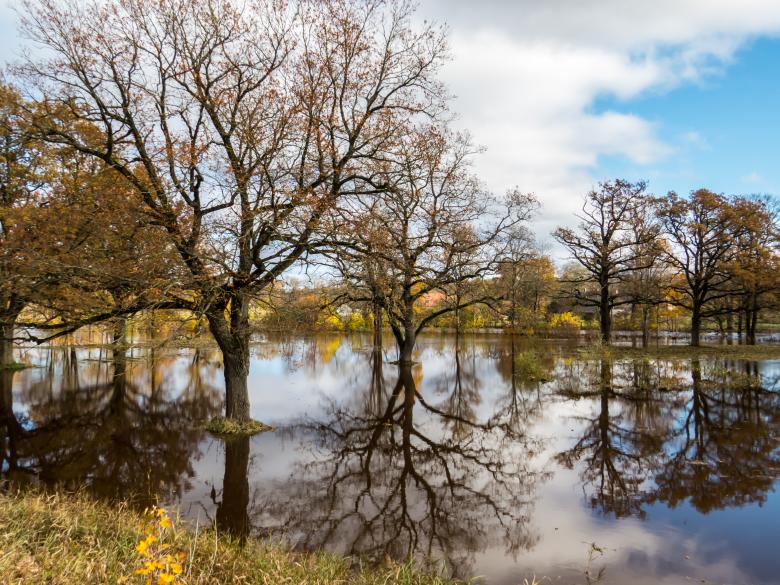Free stock image of Fall and too much rain. A little floods created by Janis Urtans