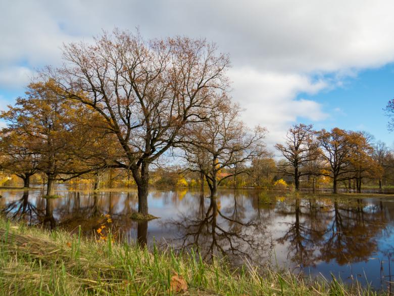 Free stock image of Fall and too much rain. A little floods created by Janis Urtans