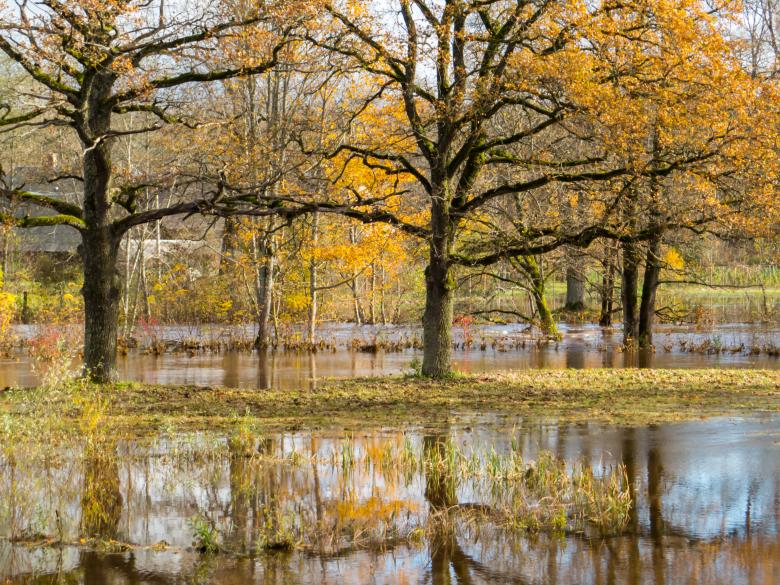 Free stock image of Fall and too much rain. A little floods created by Janis Urtans