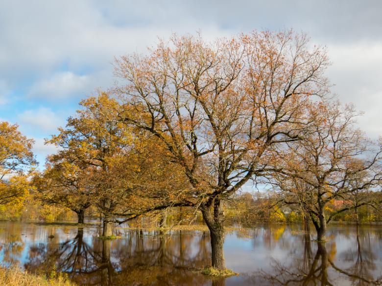 Free stock image of Fall and too much rain. A little floods created by Janis Urtans