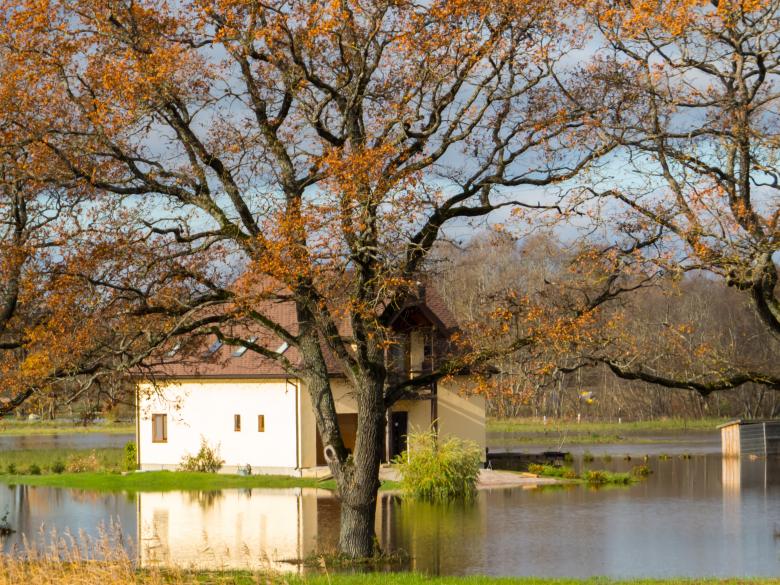 Free stock image of Fall and too much rain. A little floods created by Janis Urtans