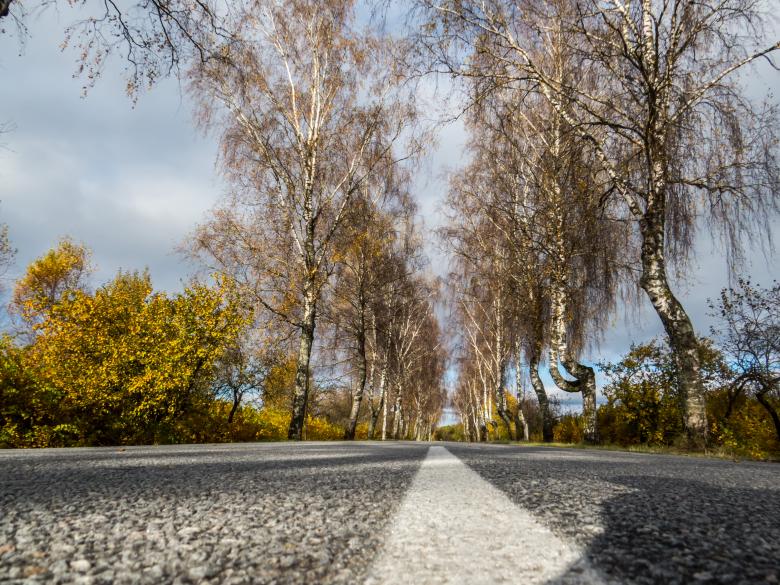 Free stock image of Fall from the mid of the road created by Janis Urtans