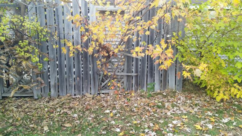Free stock image of Fence created by iblushay pamela