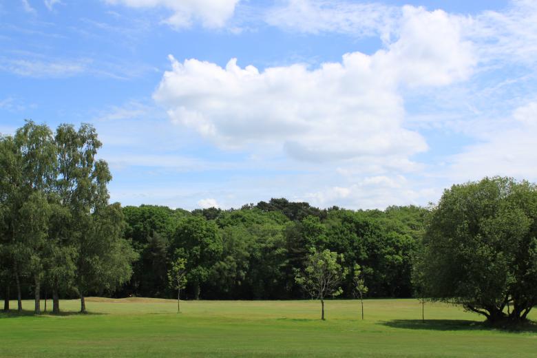 Free stock image of Golf course created by Wady Galfskiy