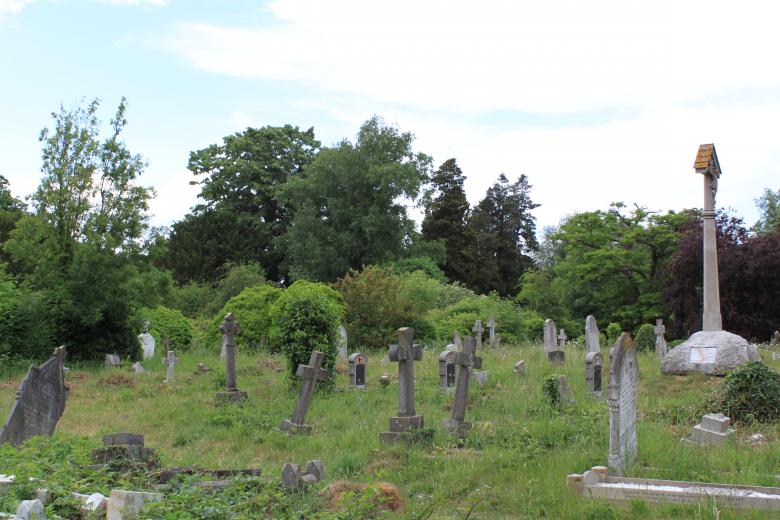 Free stock image of Overgrown Cemetery created by Wady Galfskiy
