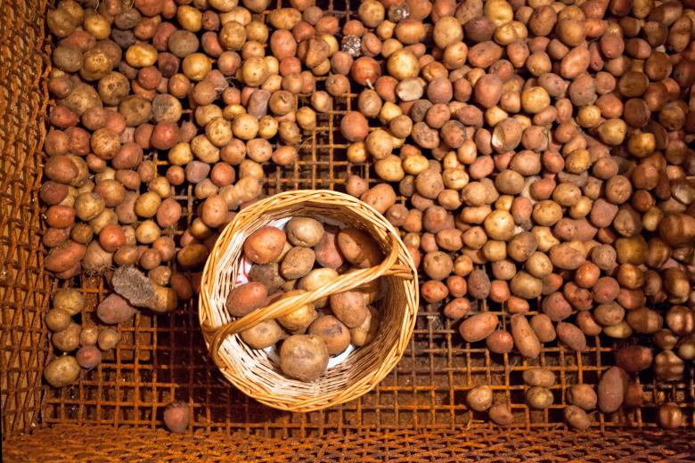 Free stock image of Potatoes in the cellar created by 2happy